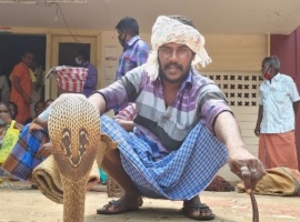 Snake charming community fights for Community Certificate more than 20 years