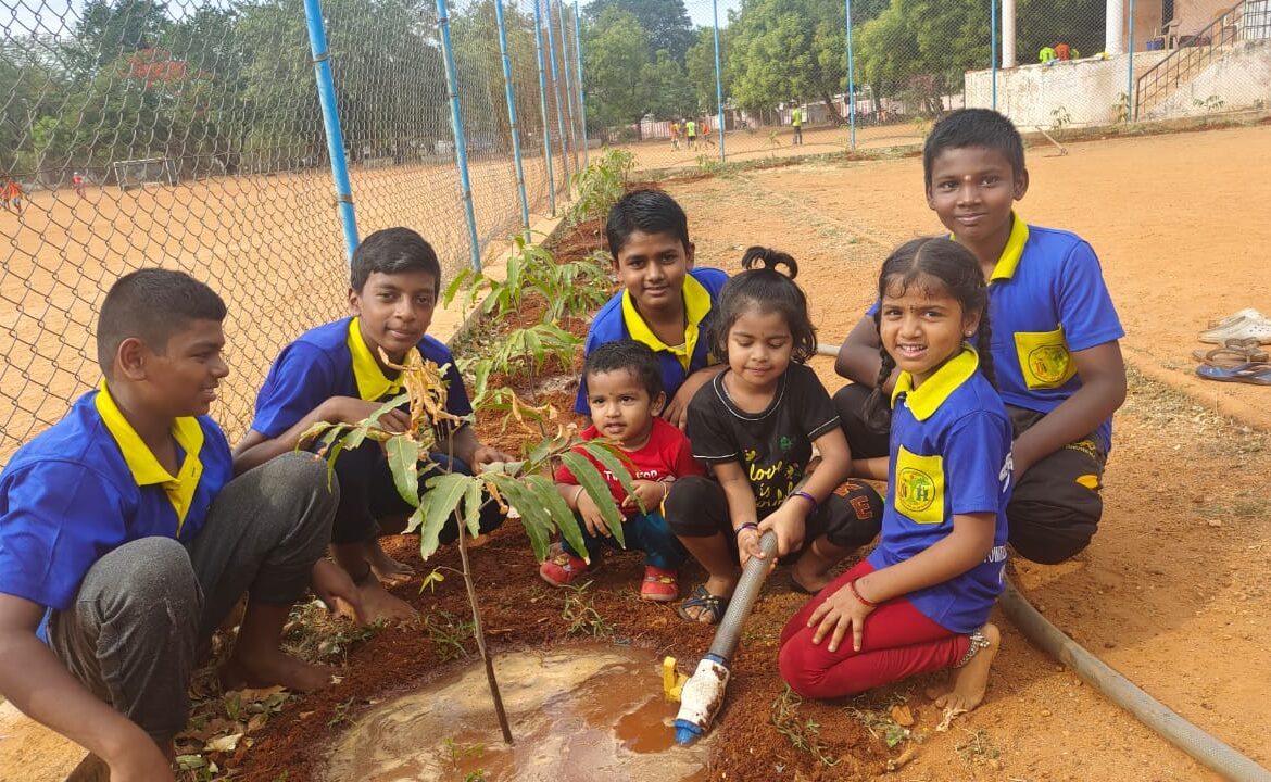 17.07.2022 Today Maintained and Watered Planted Sapling / மரக்கன்றுகள் பராமரிப்பு களப்பணி
