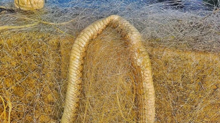 பல்லுயிர் சூழலுக்கு பெரும் அச்சுறுத்தலாகும் உள்ளூர் வலை மீன் பிடி வழக்கம்