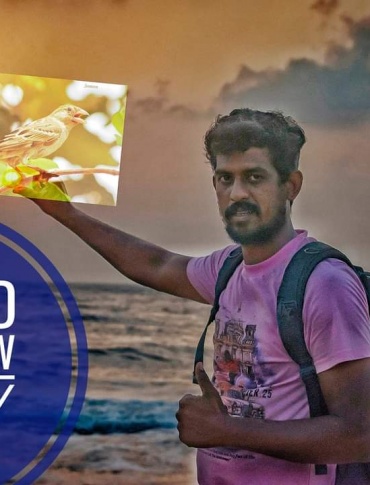 எங்கே எனது சிட்டுக்குருவி!