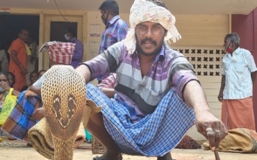 Snake charming community fights for Community Certificate more than 20 years