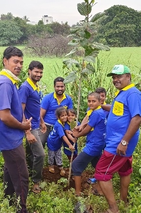 Banyan saplings plantation/ஆலங்கன்று நடுதல்