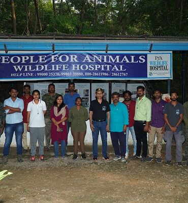 Urban wildlife Rehabilitation Workshop / நகர்ப்புற வனவிலங்கு புனர்வாழ்வு பயிற்சி